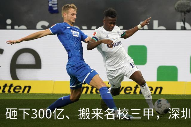 砸下300亿、搬来名校三甲，深圳“最贵飞地”为何让人捏把汗？